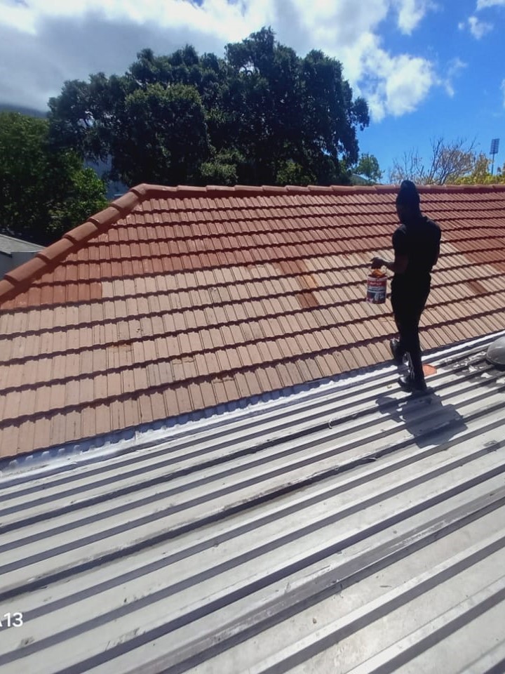 roofpainting_005