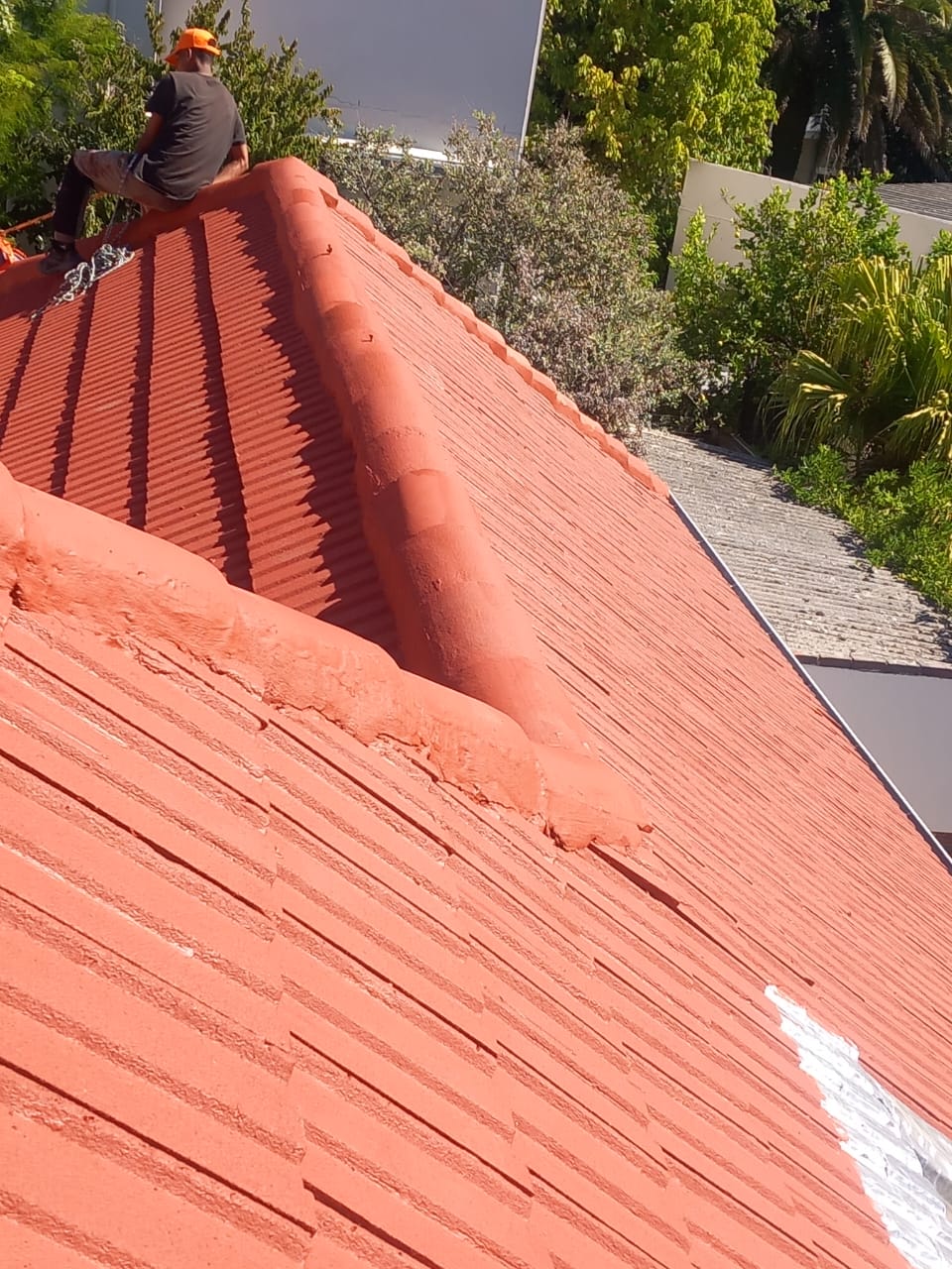 roofpainting_006