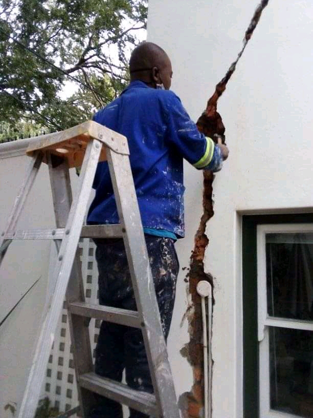 wallrepairs_013